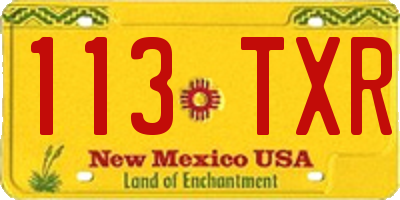 NM license plate 113TXR