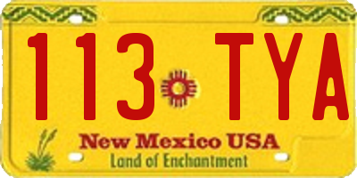 NM license plate 113TYA