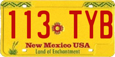 NM license plate 113TYB