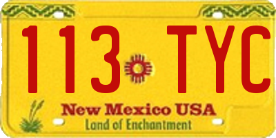 NM license plate 113TYC