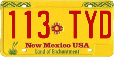 NM license plate 113TYD