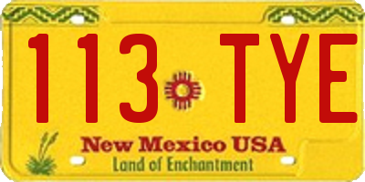 NM license plate 113TYE