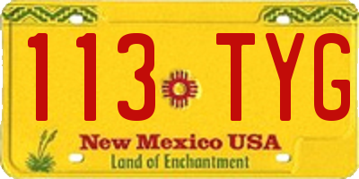 NM license plate 113TYG