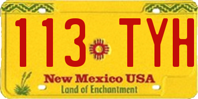 NM license plate 113TYH