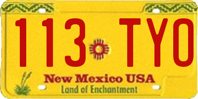 NM license plate 113TYO