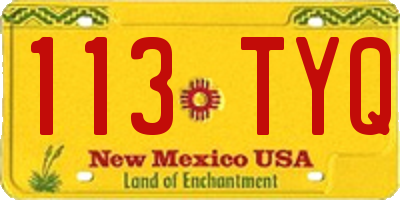 NM license plate 113TYQ