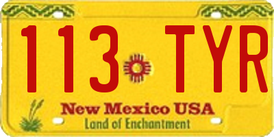NM license plate 113TYR
