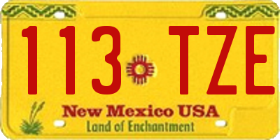 NM license plate 113TZE