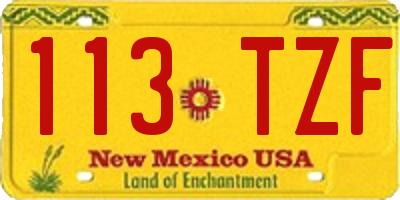 NM license plate 113TZF