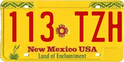 NM license plate 113TZH