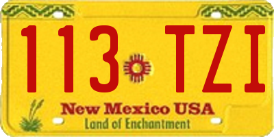 NM license plate 113TZI
