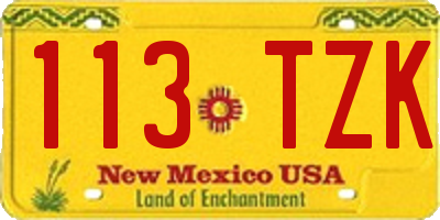 NM license plate 113TZK