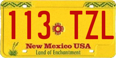 NM license plate 113TZL