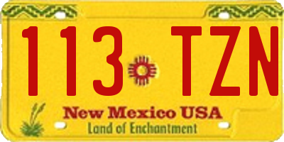 NM license plate 113TZN