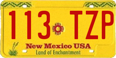 NM license plate 113TZP