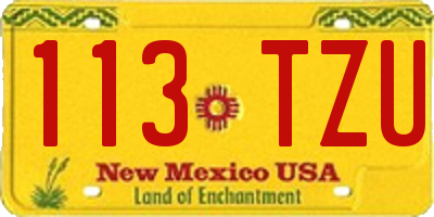 NM license plate 113TZU