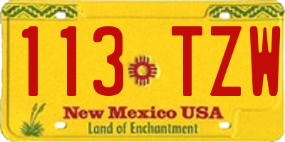 NM license plate 113TZW