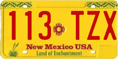 NM license plate 113TZX