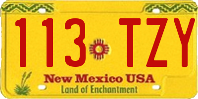 NM license plate 113TZY