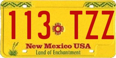 NM license plate 113TZZ