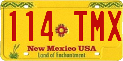 NM license plate 114TMX