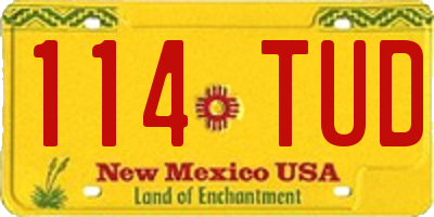 NM license plate 114TUD