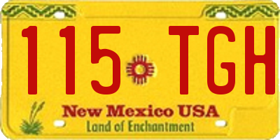 NM license plate 115TGH