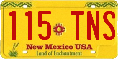 NM license plate 115TNS