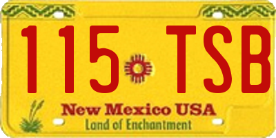 NM license plate 115TSB