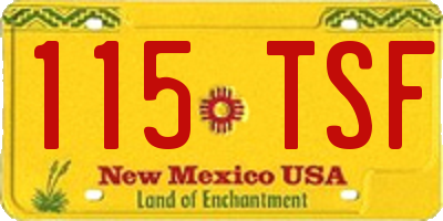 NM license plate 115TSF