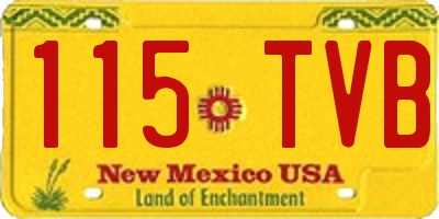 NM license plate 115TVB