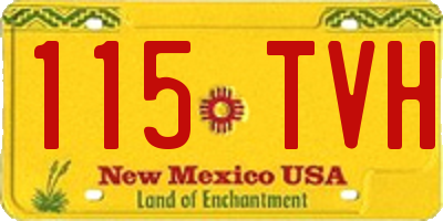 NM license plate 115TVH