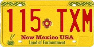 NM license plate 115TXM