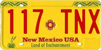 NM license plate 117TNX