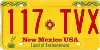 NM license plate 117TVX