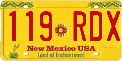 NM license plate 119RDX