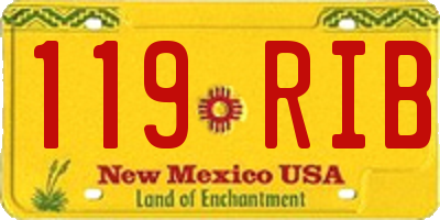 NM license plate 119RIB