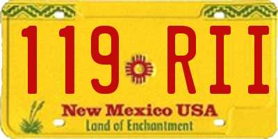 NM license plate 119RII