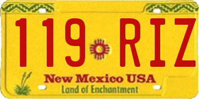 NM license plate 119RIZ