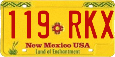 NM license plate 119RKX