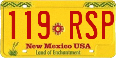 NM license plate 119RSP