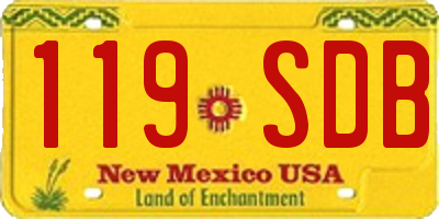 NM license plate 119SDB