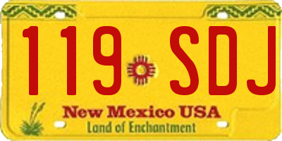 NM license plate 119SDJ