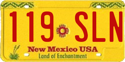 NM license plate 119SLN