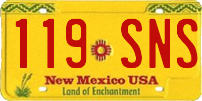 NM license plate 119SNS