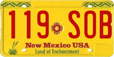 NM license plate 119SOB