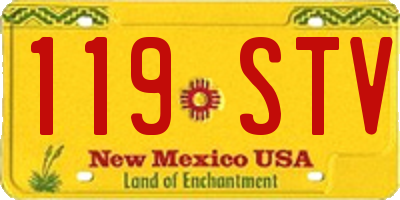 NM license plate 119STV