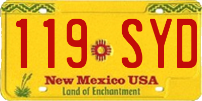 NM license plate 119SYD