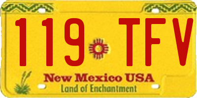 NM license plate 119TFV