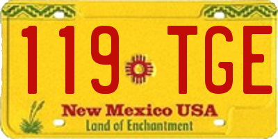 NM license plate 119TGE
